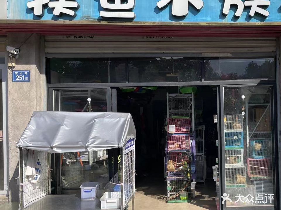 摸鱼水族