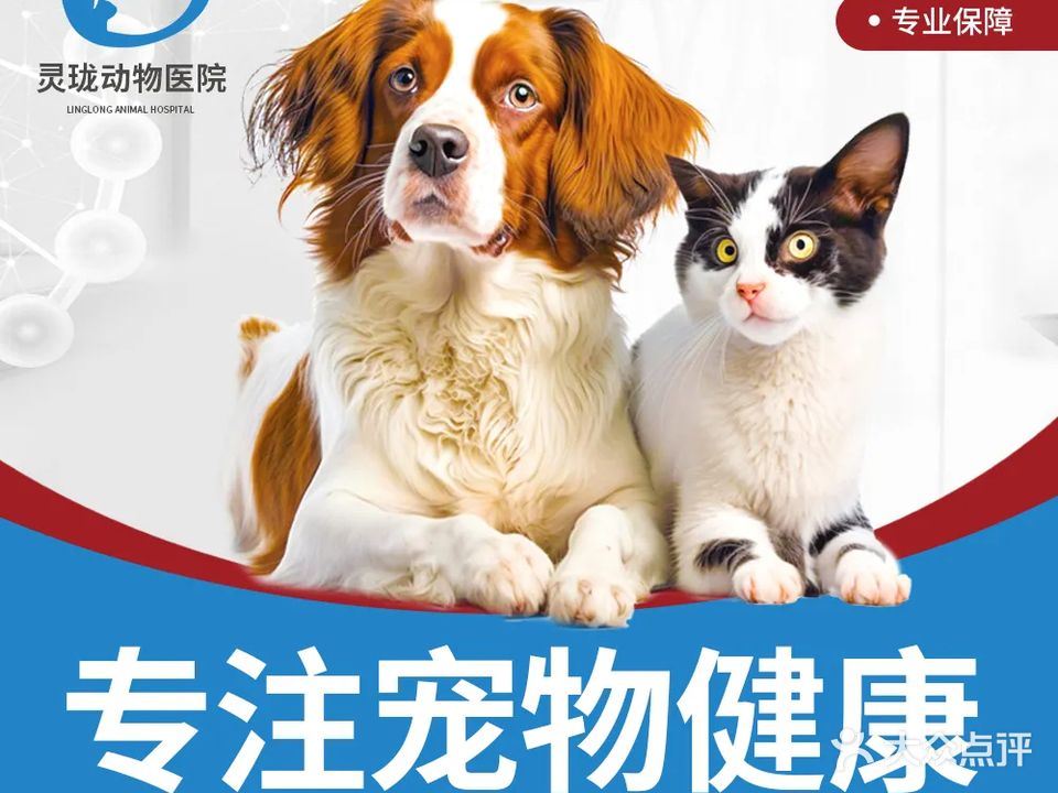 灵珑动物医院(高营店)