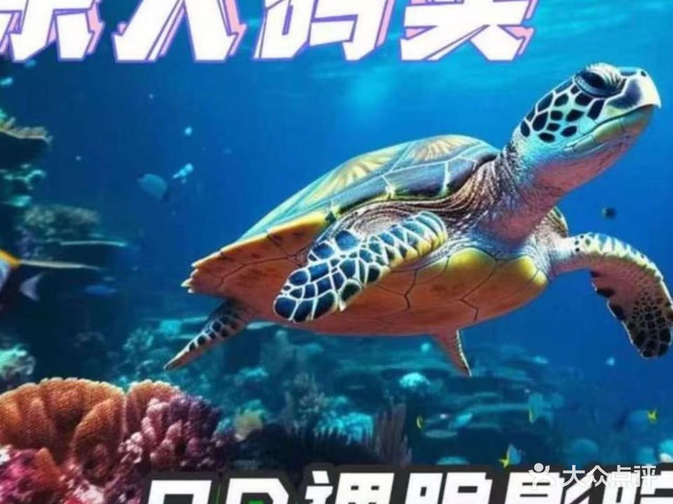 乐人码头·悬空球幕飞行影院(富逸城店)