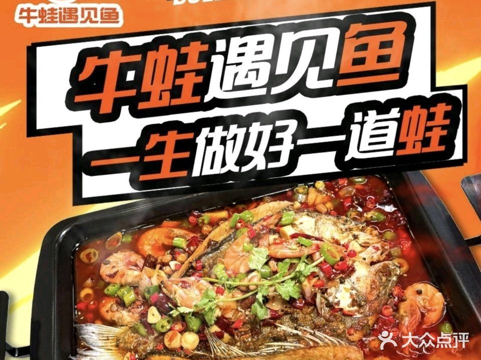 牛蛙遇见鱼