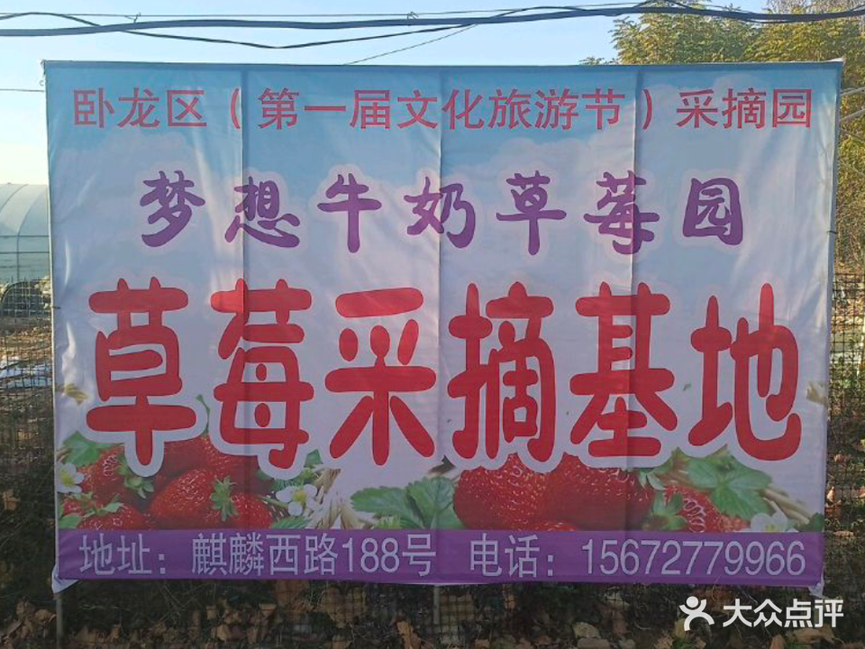 梦想草莓采摘园