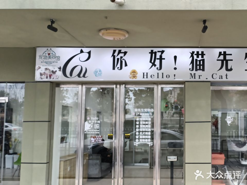 你好猫先生宠物店