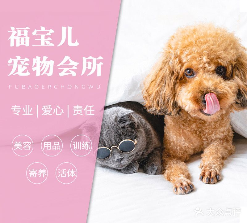 福宝儿宠物会所(泛海店)
