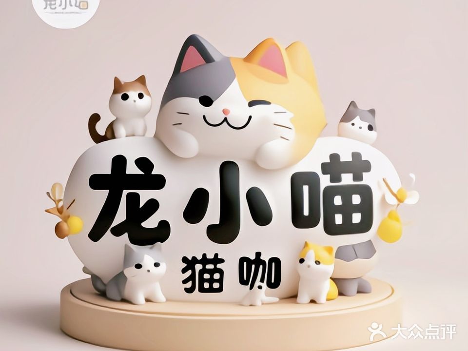 龙小喵宠物生活馆&猫咖