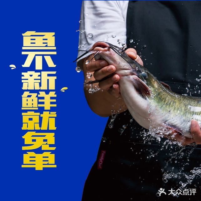 有猫腻儿炭火烤鱼(南街店)