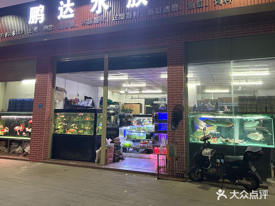 鹏达水族