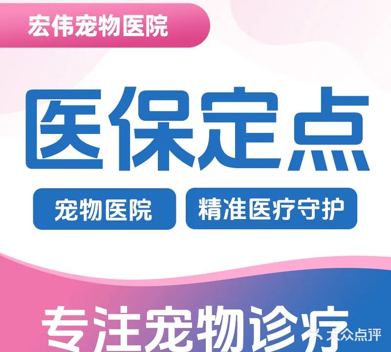 宏伟宠物医院(南湖店)