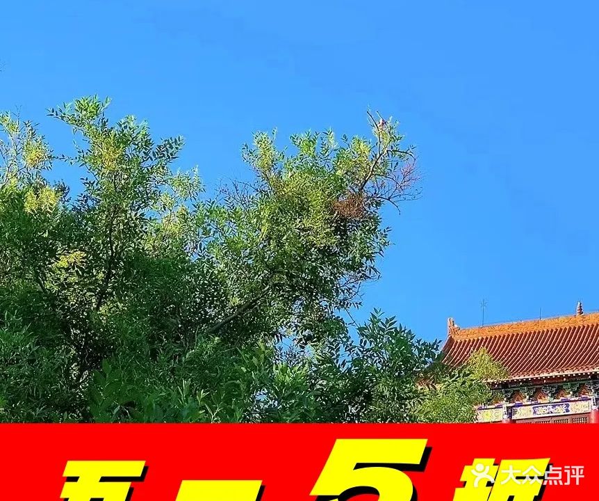 十五峯南会所羽毛球篮球馆