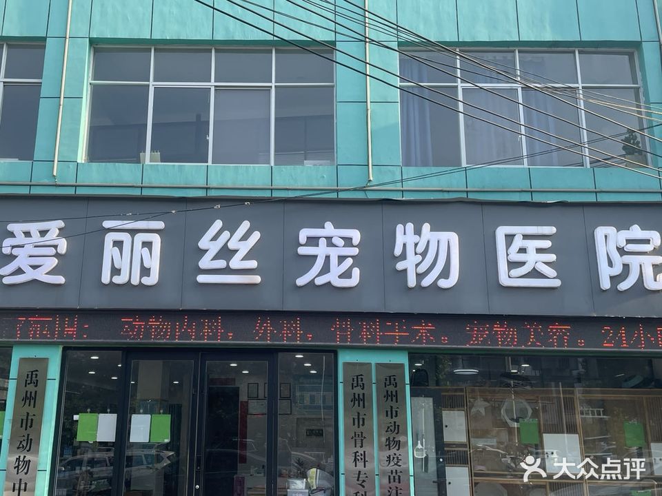 爱丽丝宠物医院