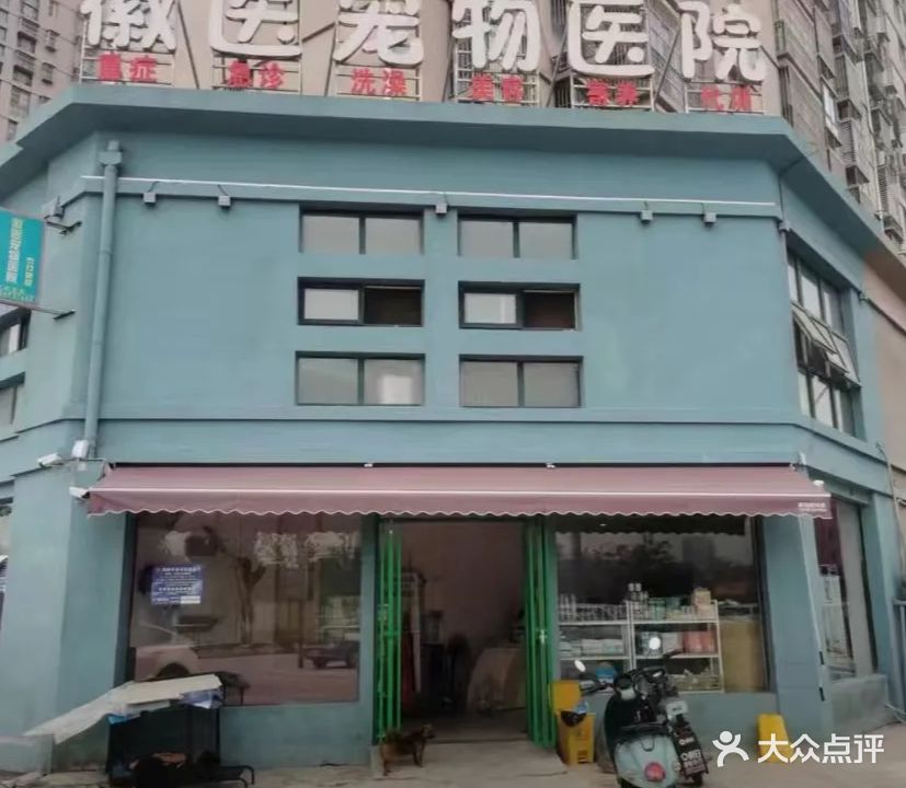 徽医宠物医院
