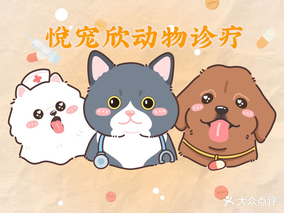 悦宠欣动物诊所