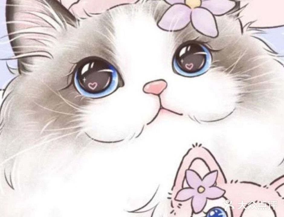 沫儿与猫宠物生活馆