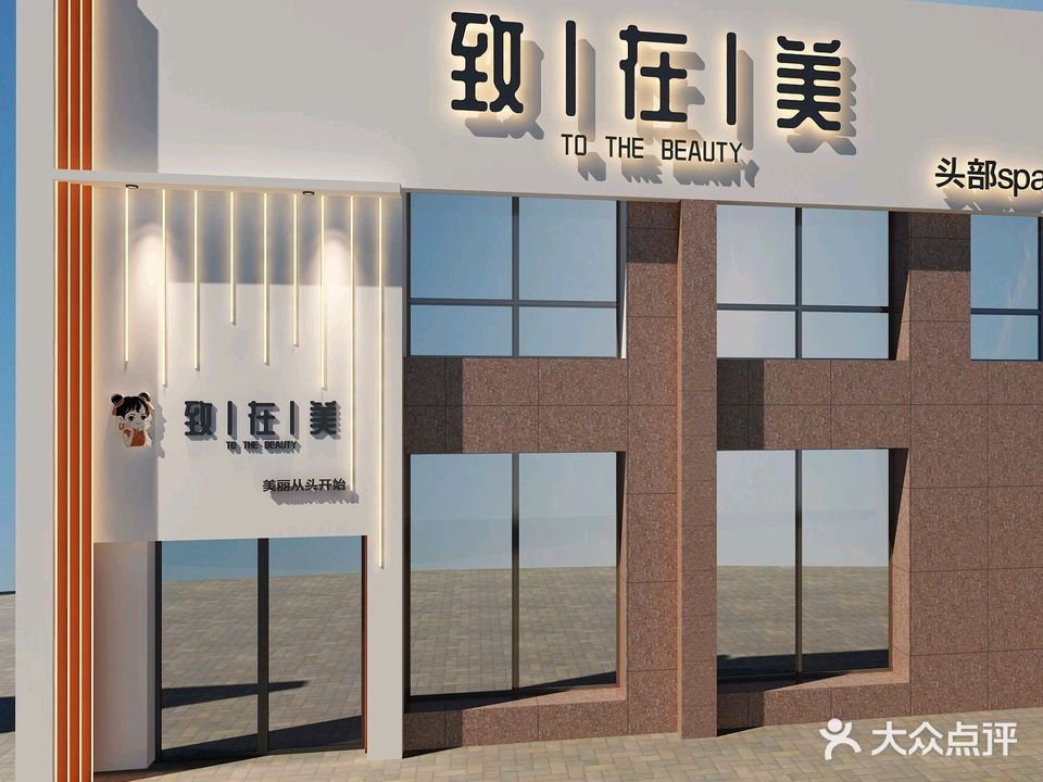 致在美头皮SPA·美学护肤(神州明珠店)