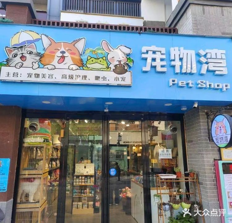 宠物湾
