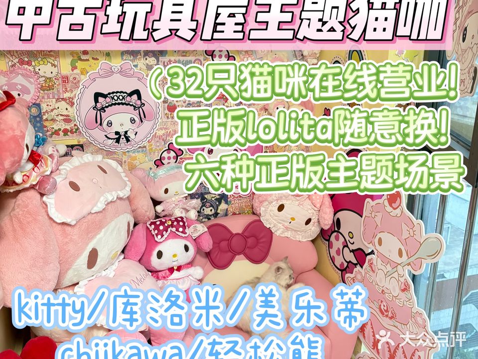 再摸一下下·猫咖·撸貂主机游戏