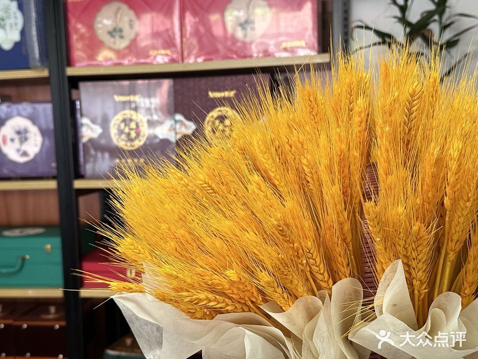 维纳斯美容店(富新花园店)