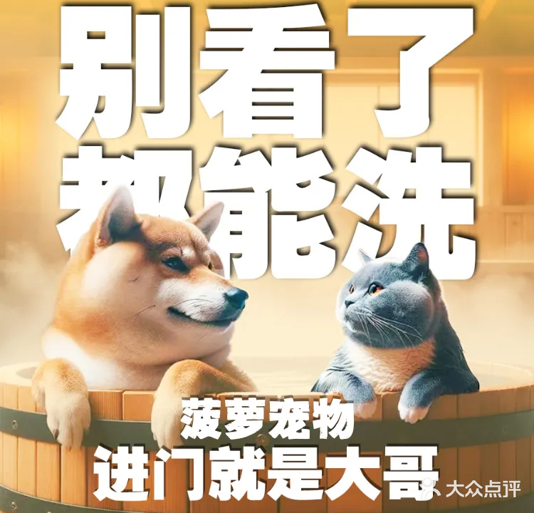菠萝宠物
