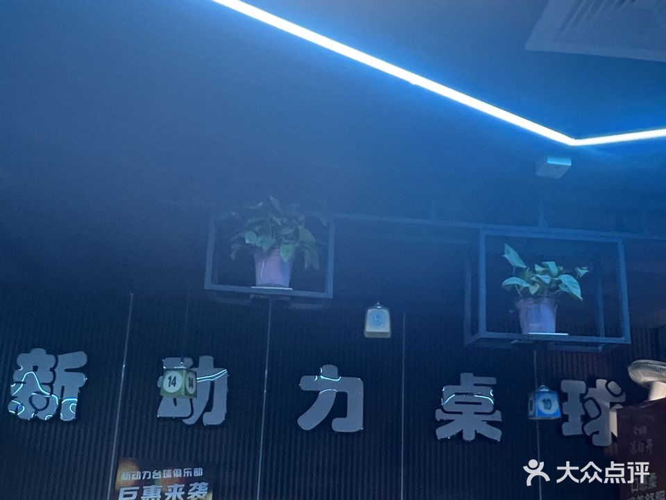 新动力网吧(祥和路店)