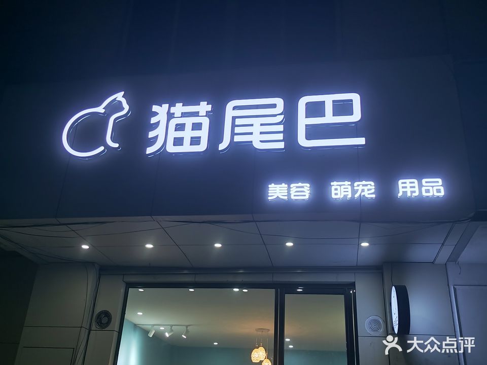 猫尾巴