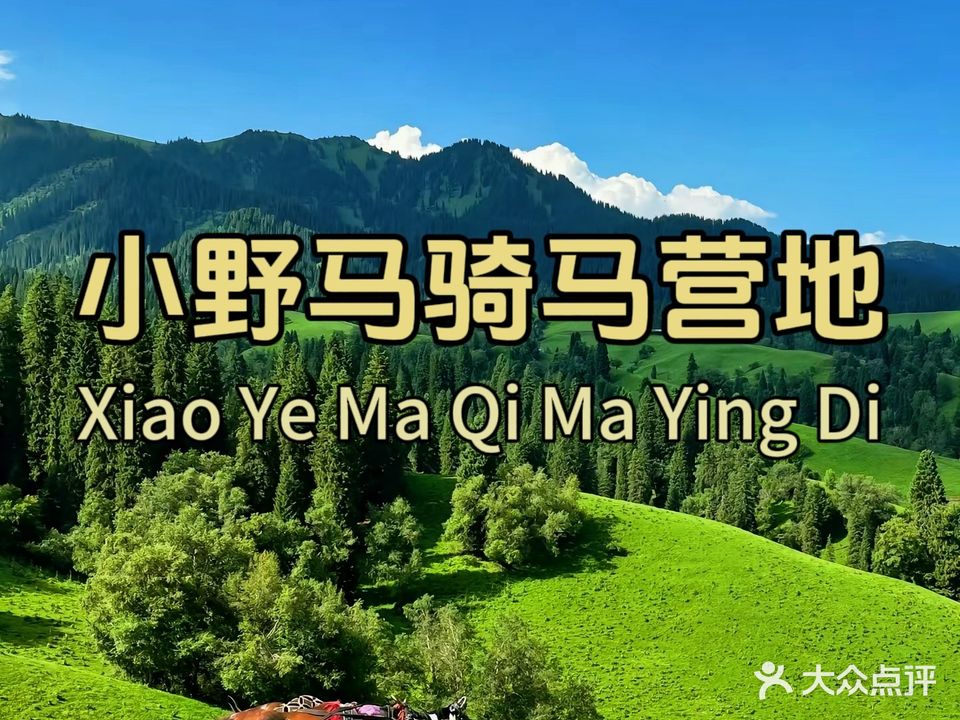 小野马骑马营地