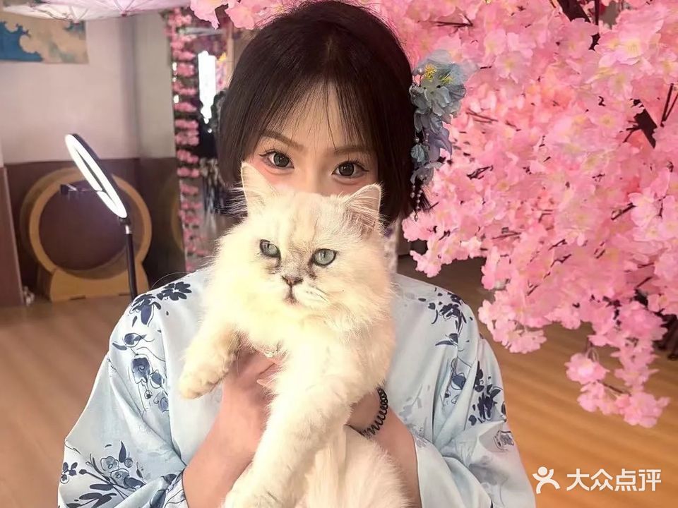 椿上猫咖·售宠·托运(万达店)