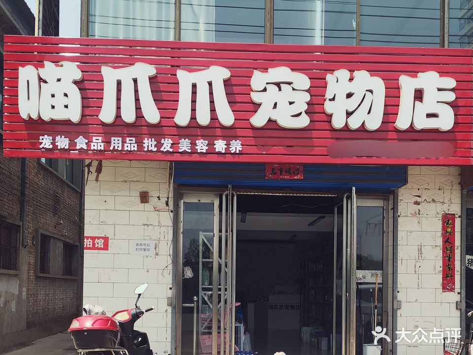 喵爪爪宠物店