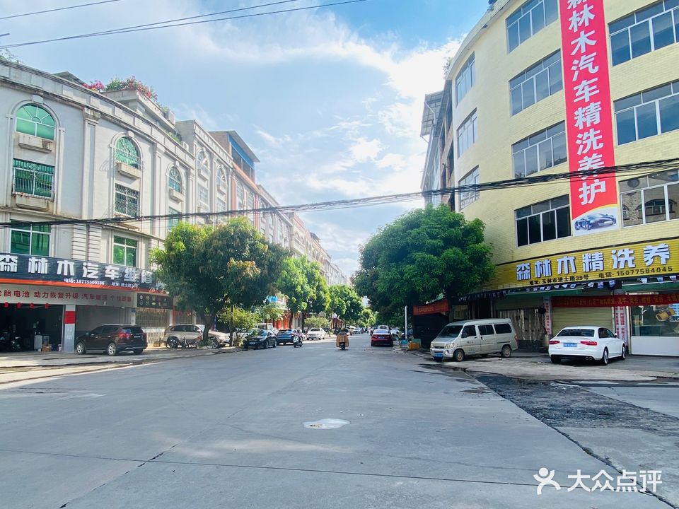 森林木精洗养护