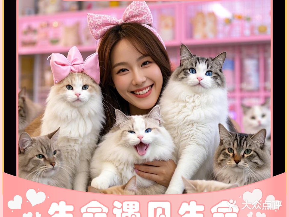 伶伴喵迹·艺术中心(K11店)