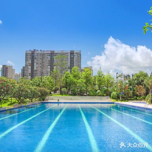 牧马湖国标游泳馆