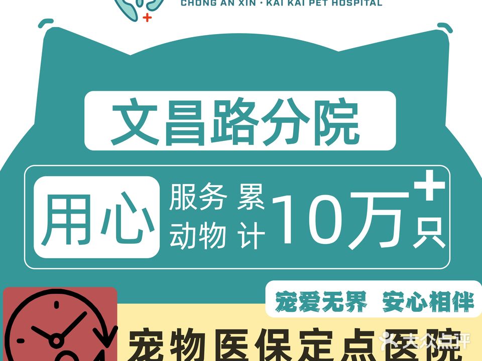 恺恺宠物医院综合性诊疗中心(文昌路店)