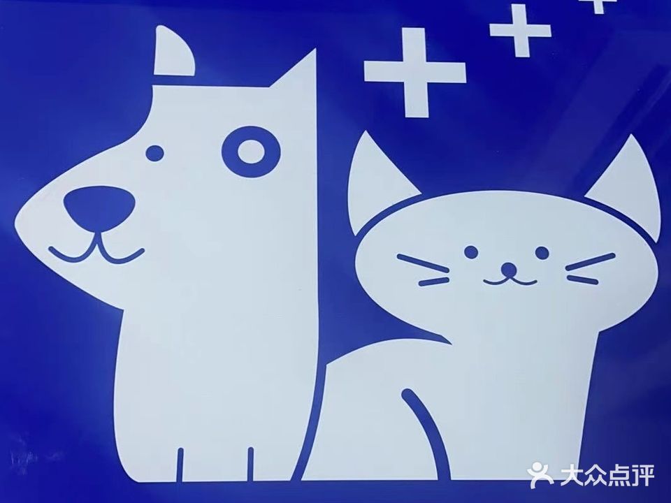 恩宠动物医院(大连街店)
