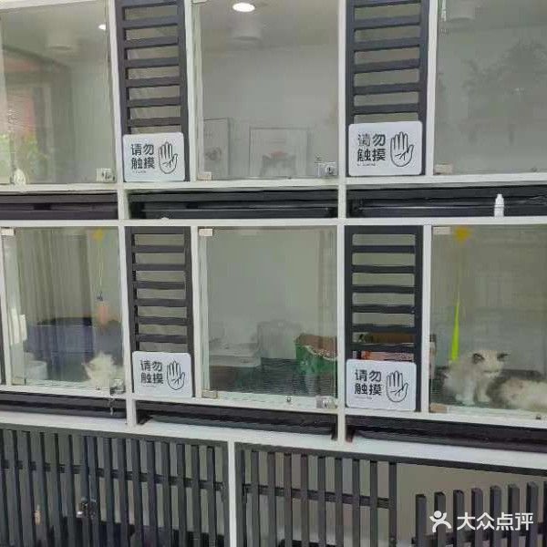 马小胖宠物店