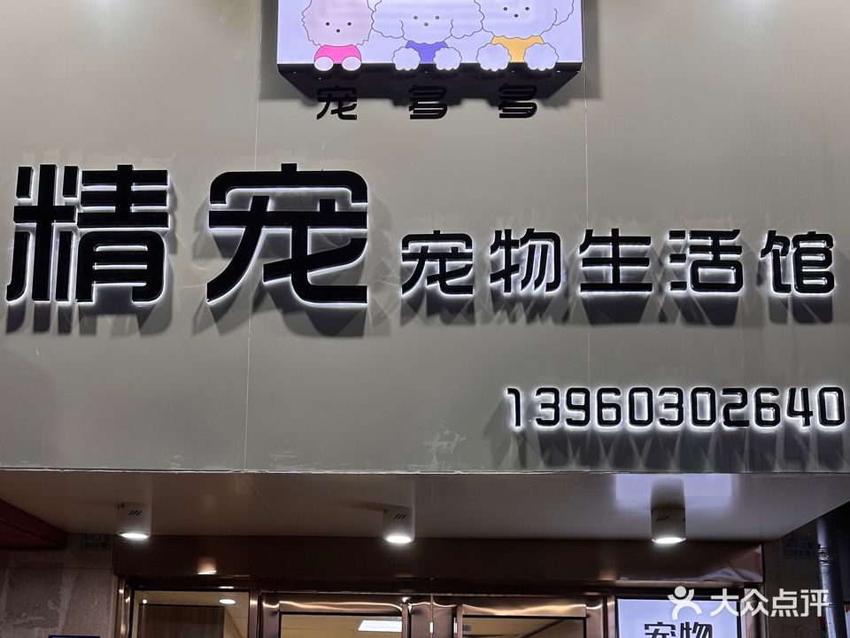 宠多多(城市之星店)