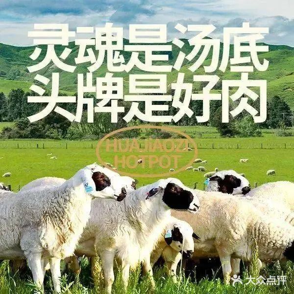 花椒籽·鲜肉火锅(城阳宝龙店)
