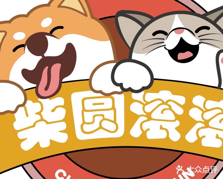 柴圆滚滚猫咖狗咖玉米蛇