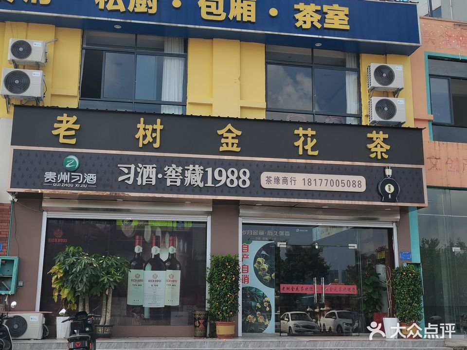 老树金花茶