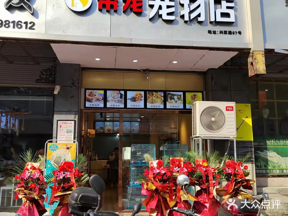 帝宠宠物店