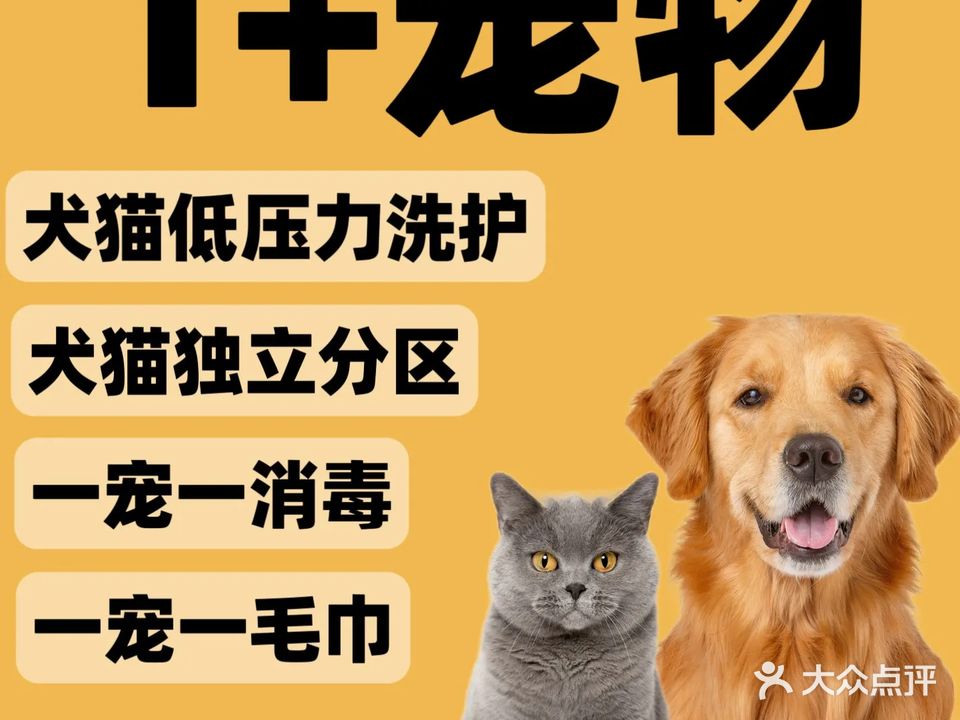 袖虎宠物(金港城店)