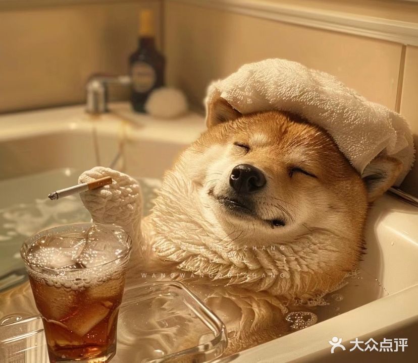 蒙蒙家的宠物诊所
