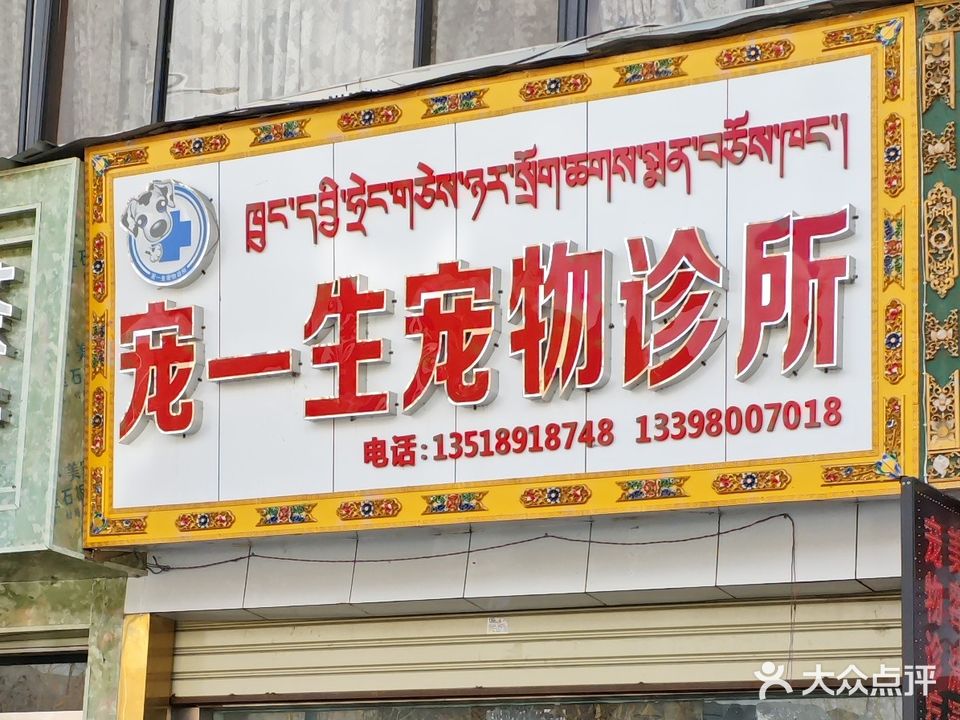 宠一生宠物诊所
