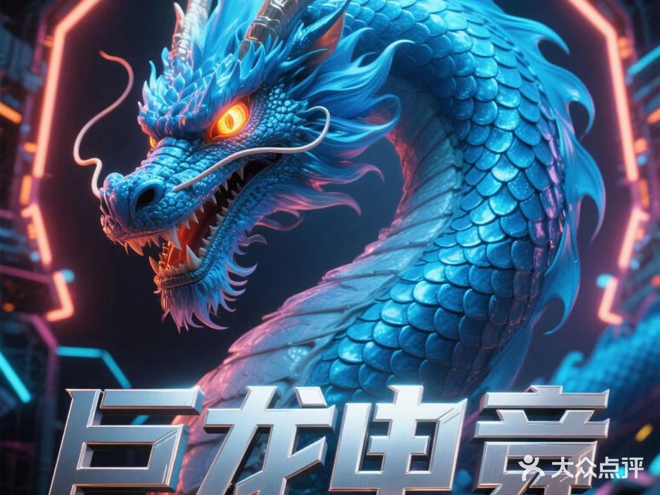 巨龙网吧(柳园路店)