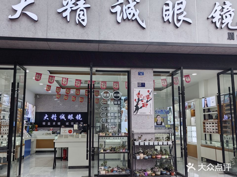 大精诚眼镜(眉山总店)