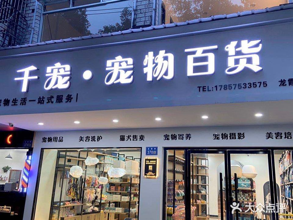 千宠宠物百货(龙霞店)