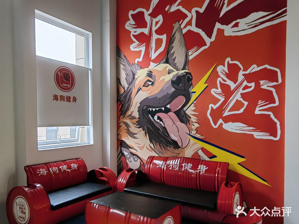 重庆海狗健身搏击俱乐部