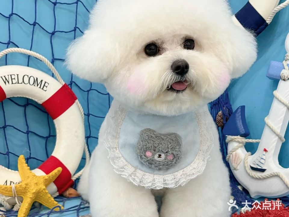 狗不理喵子