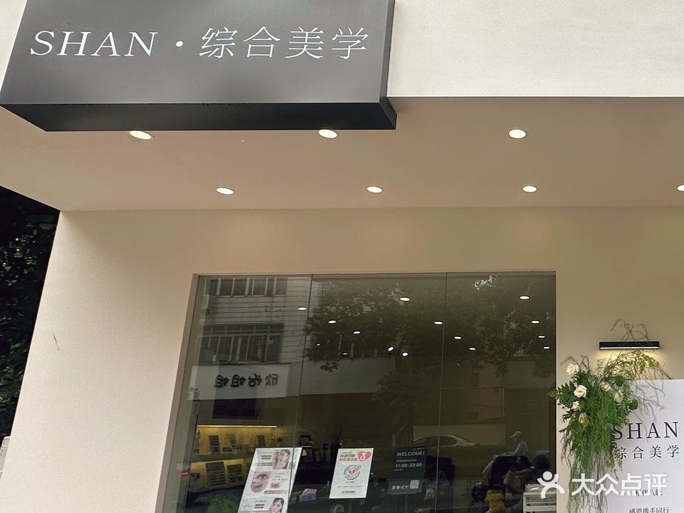 SHAN·综合美学