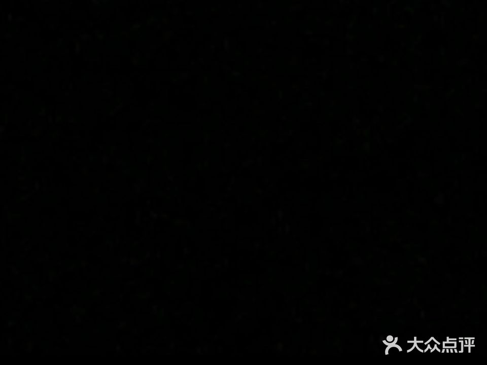 一棵树摄影工作室