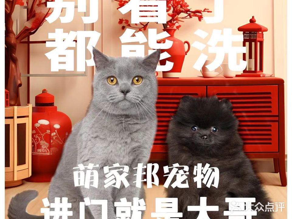 萌家邦宠物生活会馆