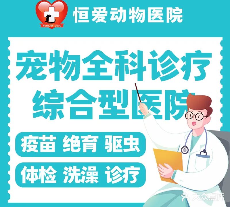 恒爱动物医院(锦绣荣城店)