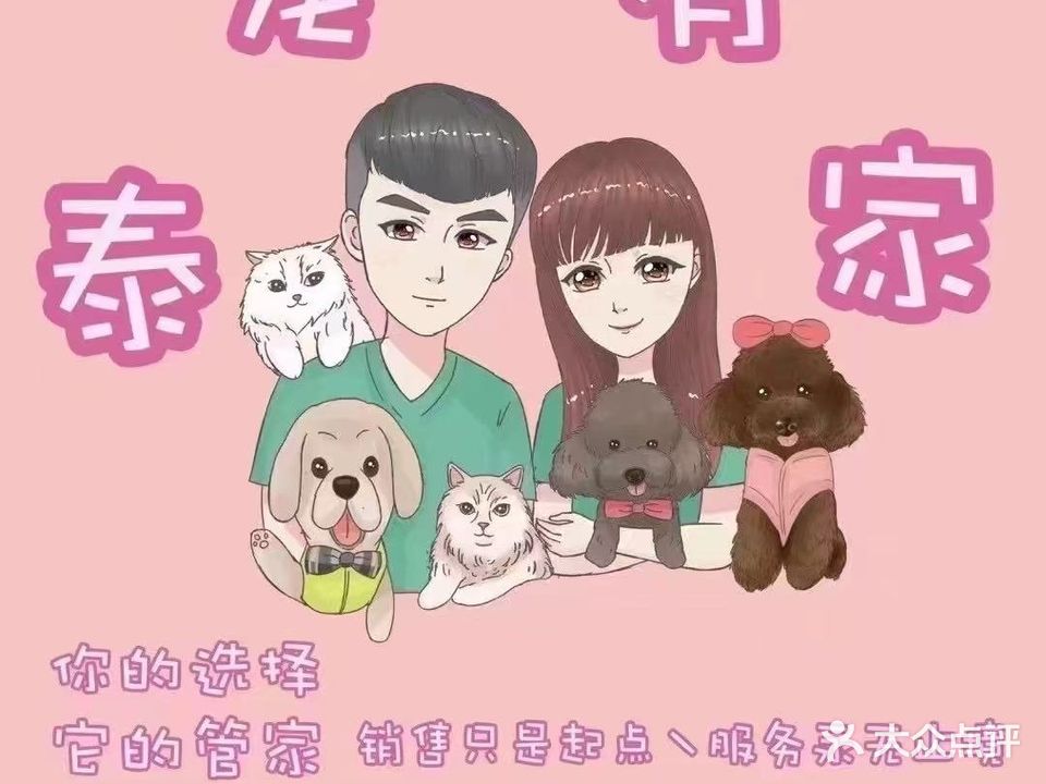 泰宠有家宠物俱乐部